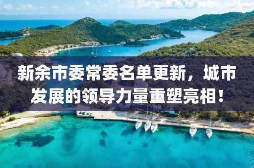 新余市委常委名单更新，城市发展的领导力量重塑亮相！