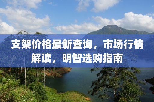 支架价格最新查询，市场行情解读，明智选购指南