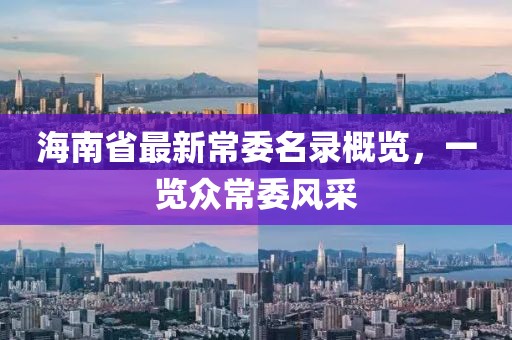 海南省最新常委名录概览，一览众常委风采