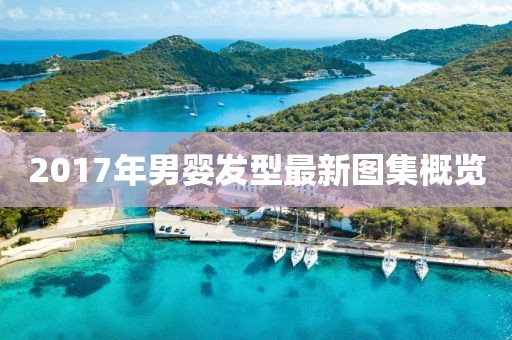 2017年男婴发型最新图集概览