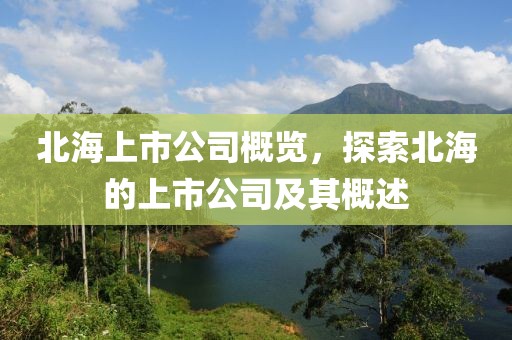 北海上市公司概览，探索北海的上市公司及其概述