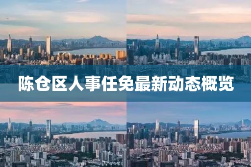 陈仓区人事任免最新动态概览