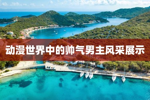 动漫世界中的帅气男主风采展示