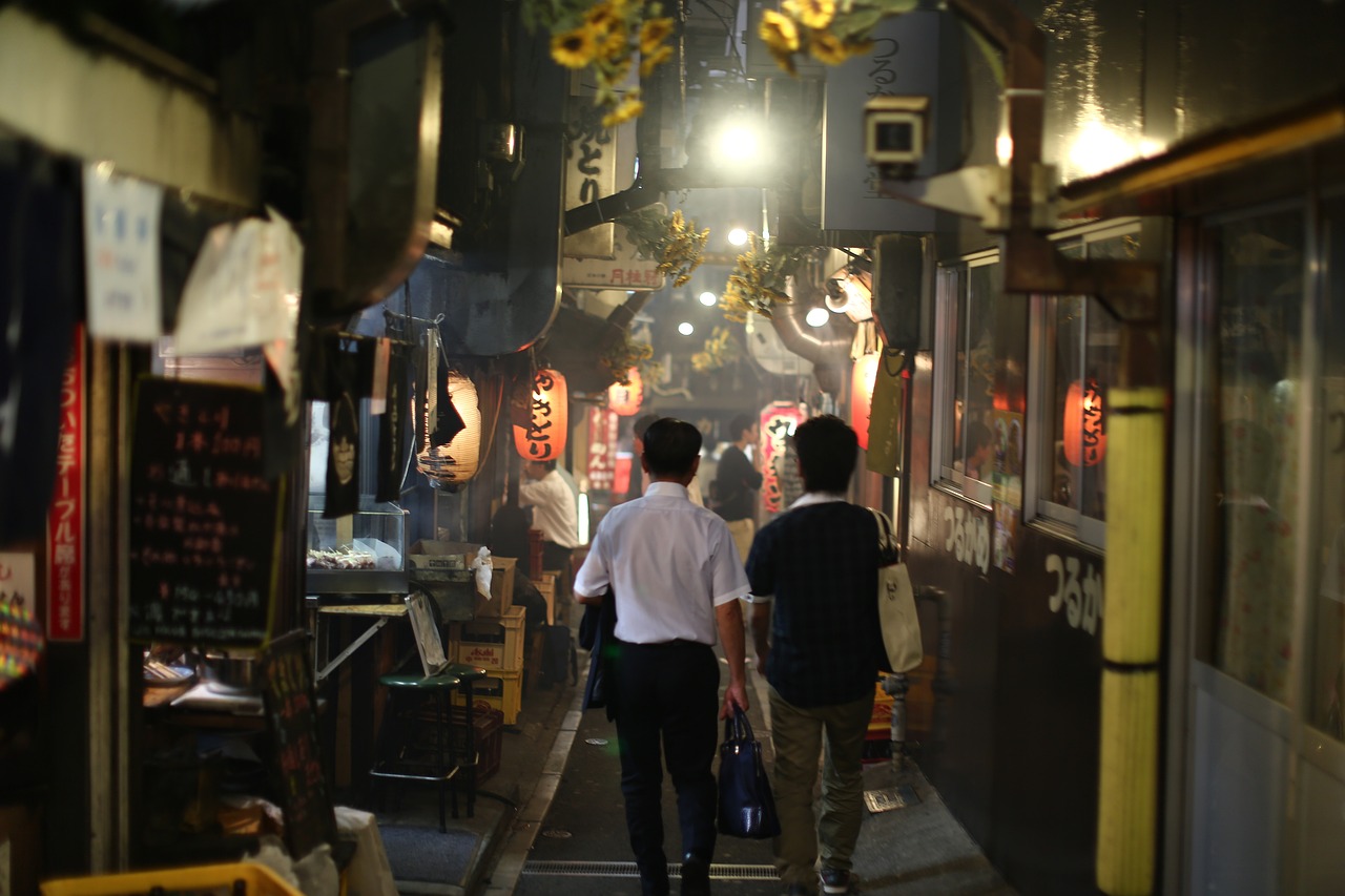 探索日本文化的独特魅力，C动漫的魅力之旅