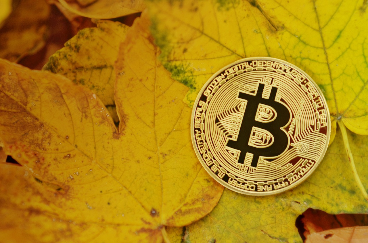 BTC今日价格动态，市场走势、影响因素及未来展望分析