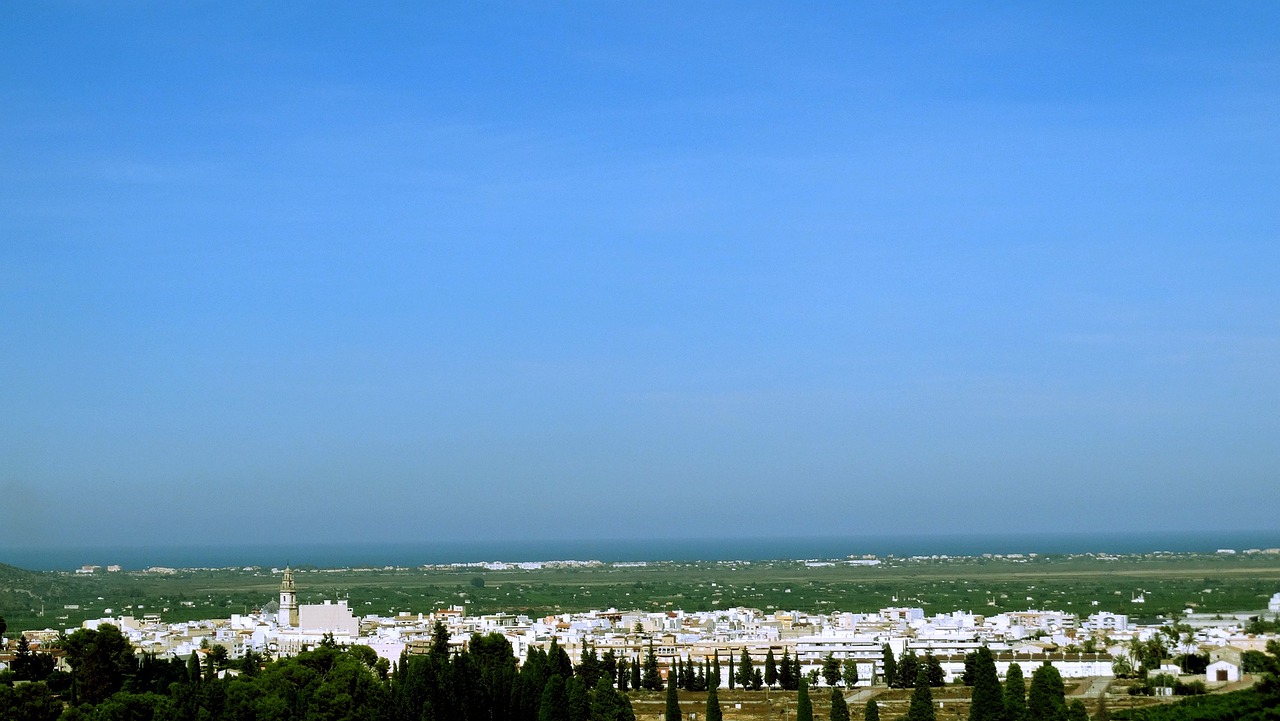 槟榔价格行情深度分析，市场动态与趋势预测