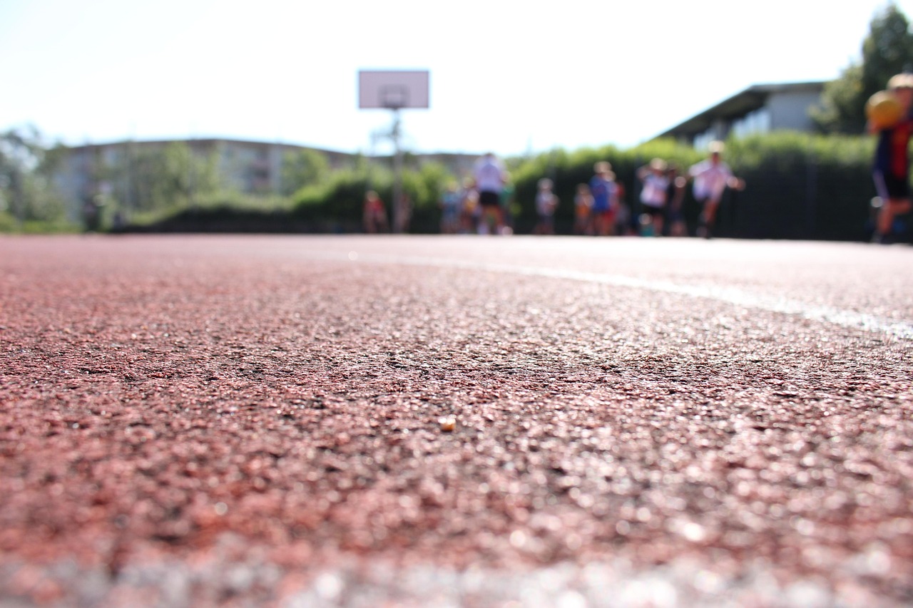 呼和浩特每日新闻快报，精准把握城市脉搏的新闻动态
