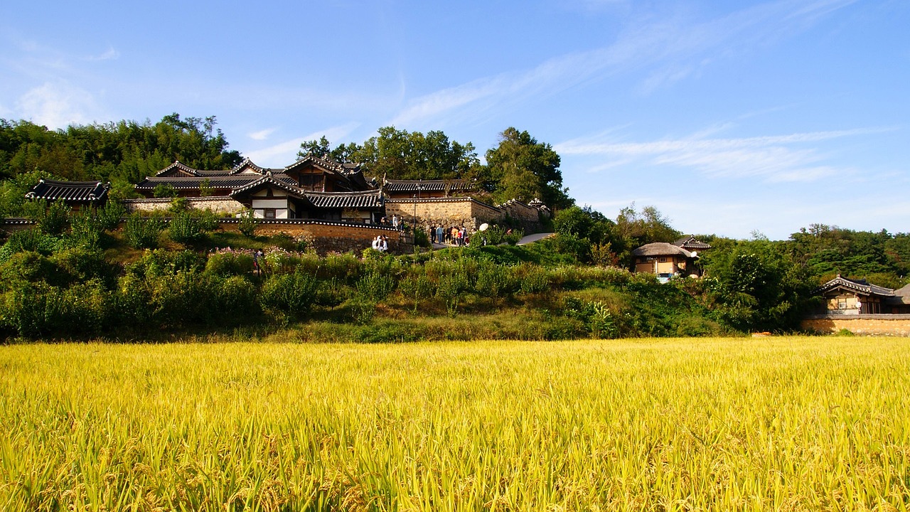 松原农村土地新政重塑乡村发展新模式