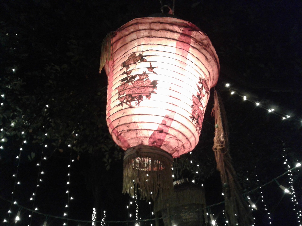 电影过年，传统与现代交织的情感盛宴之夜