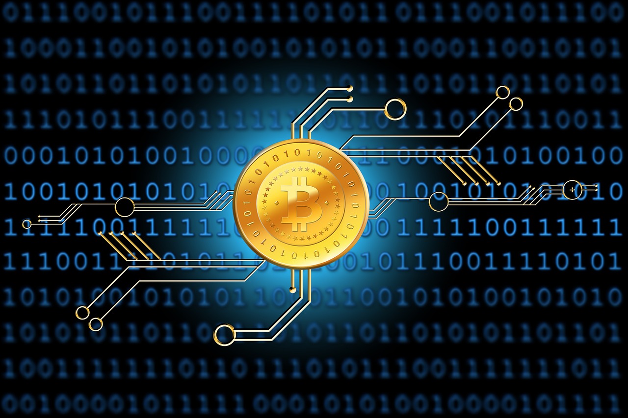 最新货源信息解析，洞悉市场，掌握先机