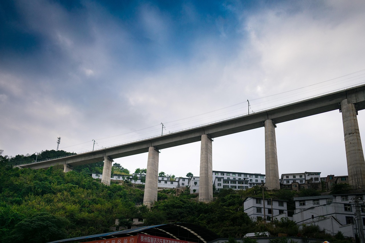 昭告天下 第7页