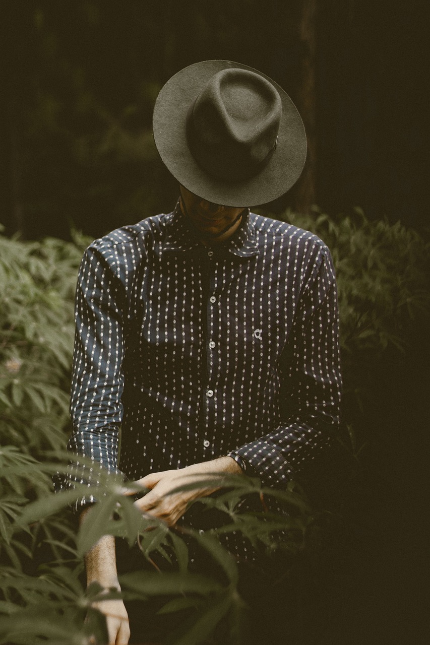 发福男明星的挑战与重塑，形象重塑之路的探讨