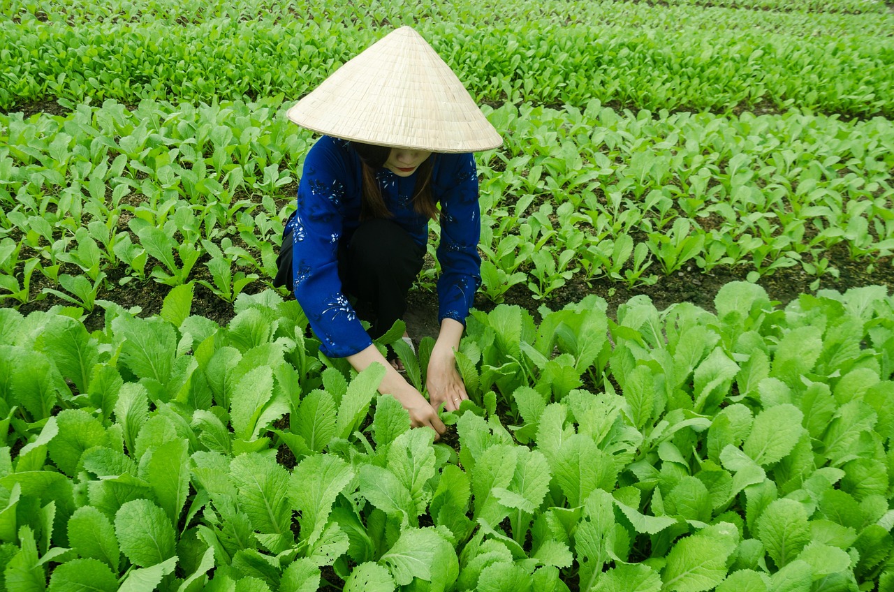 济南齐鲁之门项目最新进展动态揭秘