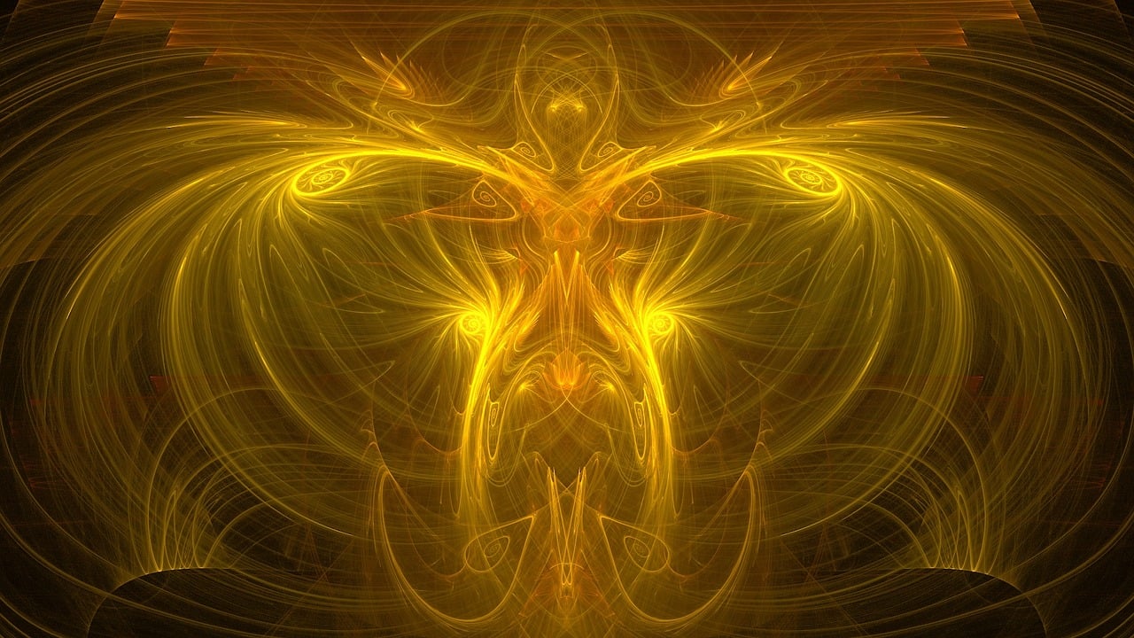 蜘蛛最新小说，奇幻世界的新篇章编织者