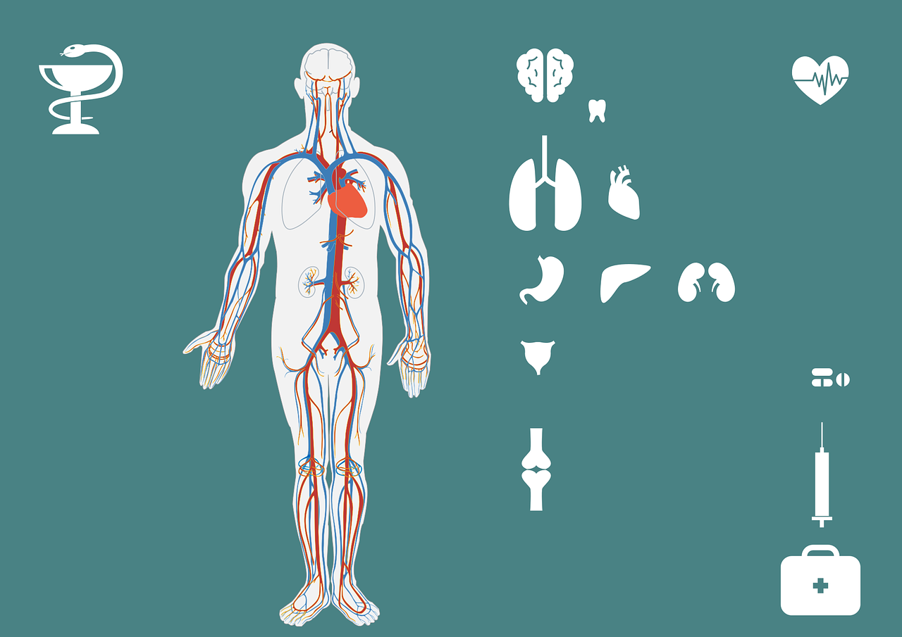 最新眼部保健操，守护您的视界健康之道