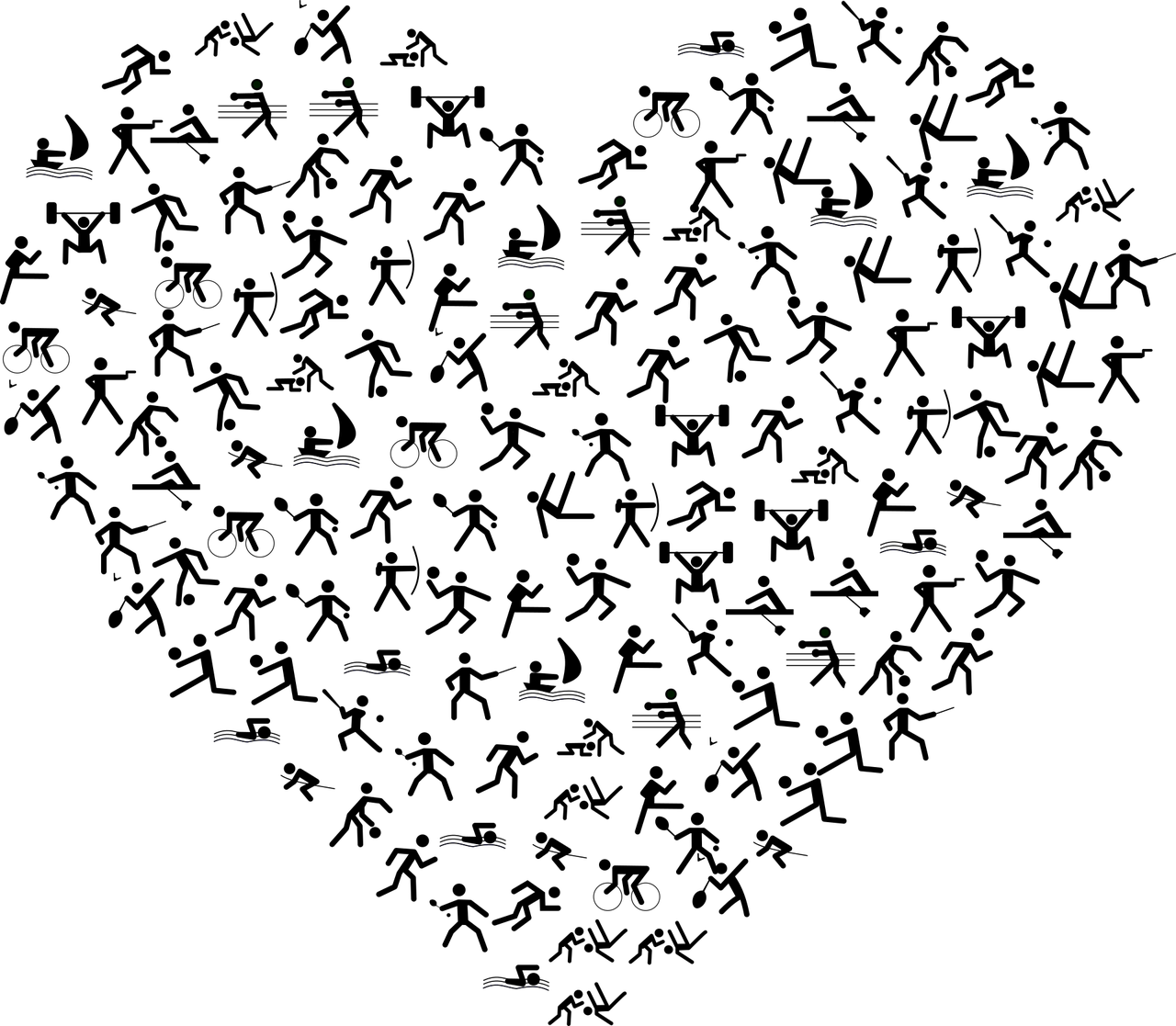 丰台信鸽赛事动态，赛场激情与竞技精神的探寻