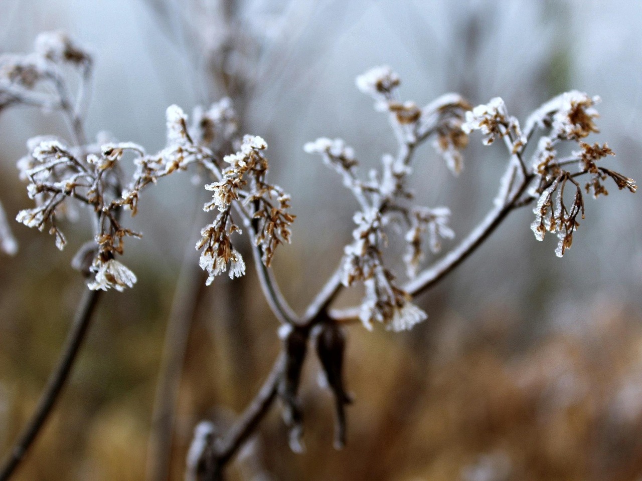 大雪冬至电影，温情与深意的冬日篇章