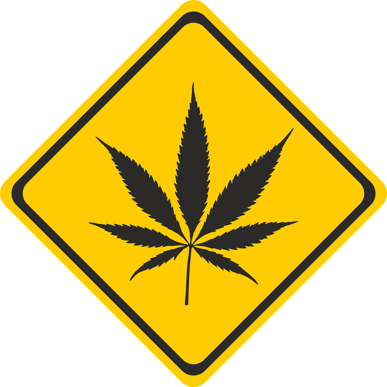 山东最新疫苗，护卫健康的坚实盾牌