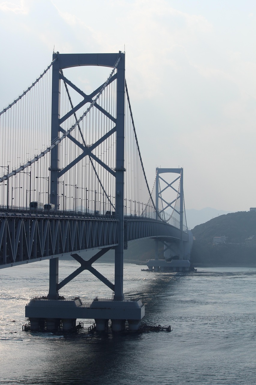 上市鱼，海洋与市场的桥梁纽带