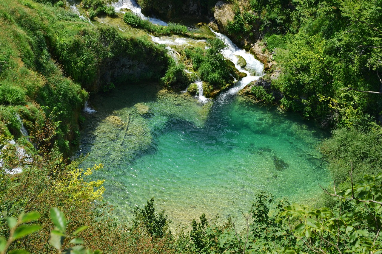 珠江水位实时动态监测，流域水资源管理与水位监测研究