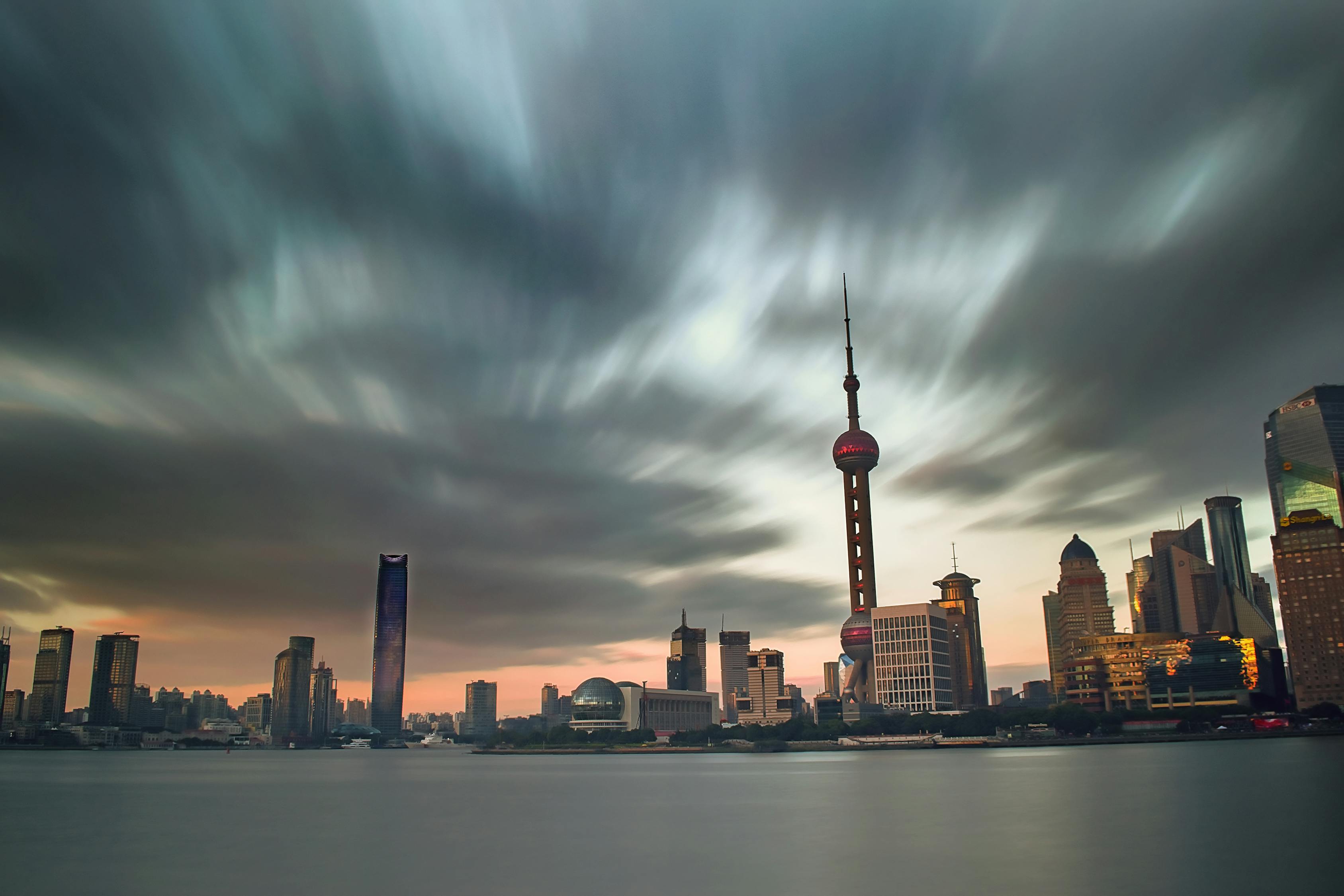 连翘行情繁荣背后的深度市场洞察