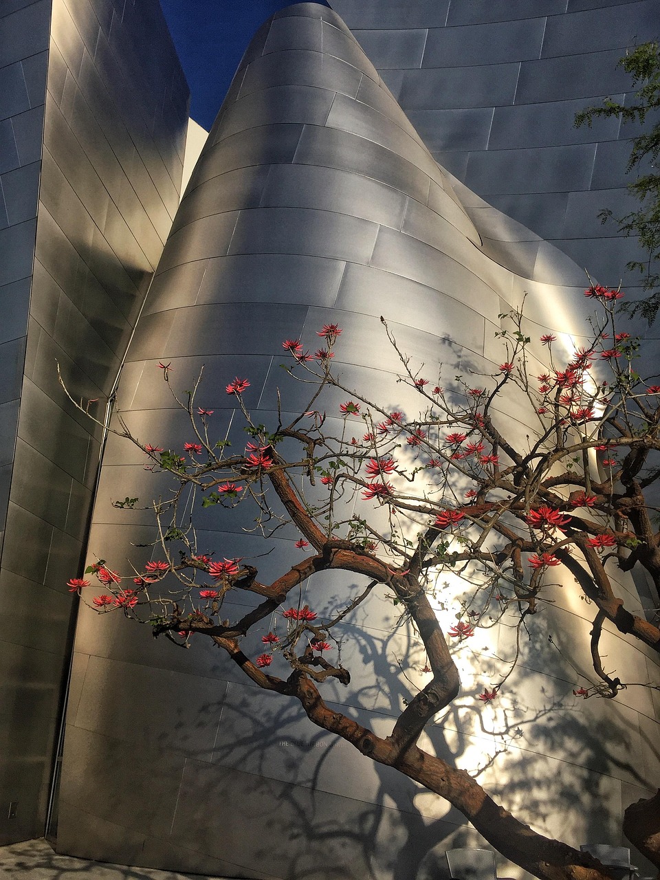 杨金柱最新动态，新旅程启程，未来展望揭晓