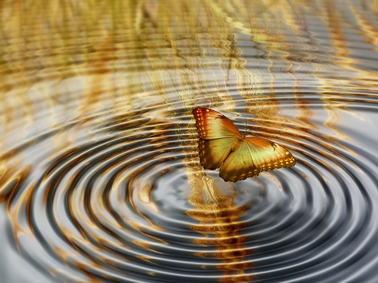 星光照亮梦想之路，追寻人生新篇章的旅程
