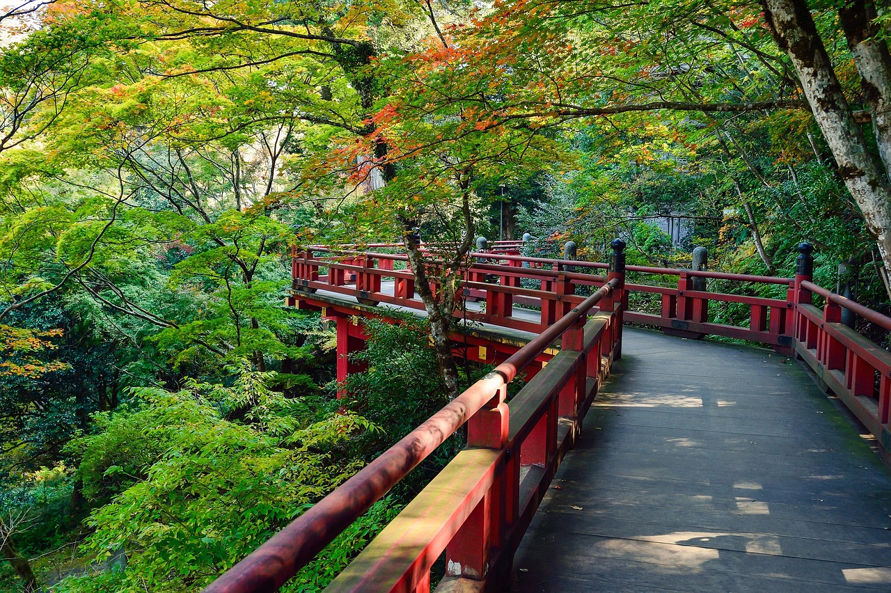 苏州热门景点大揭秘，千年文化与自然美景的绝佳去处