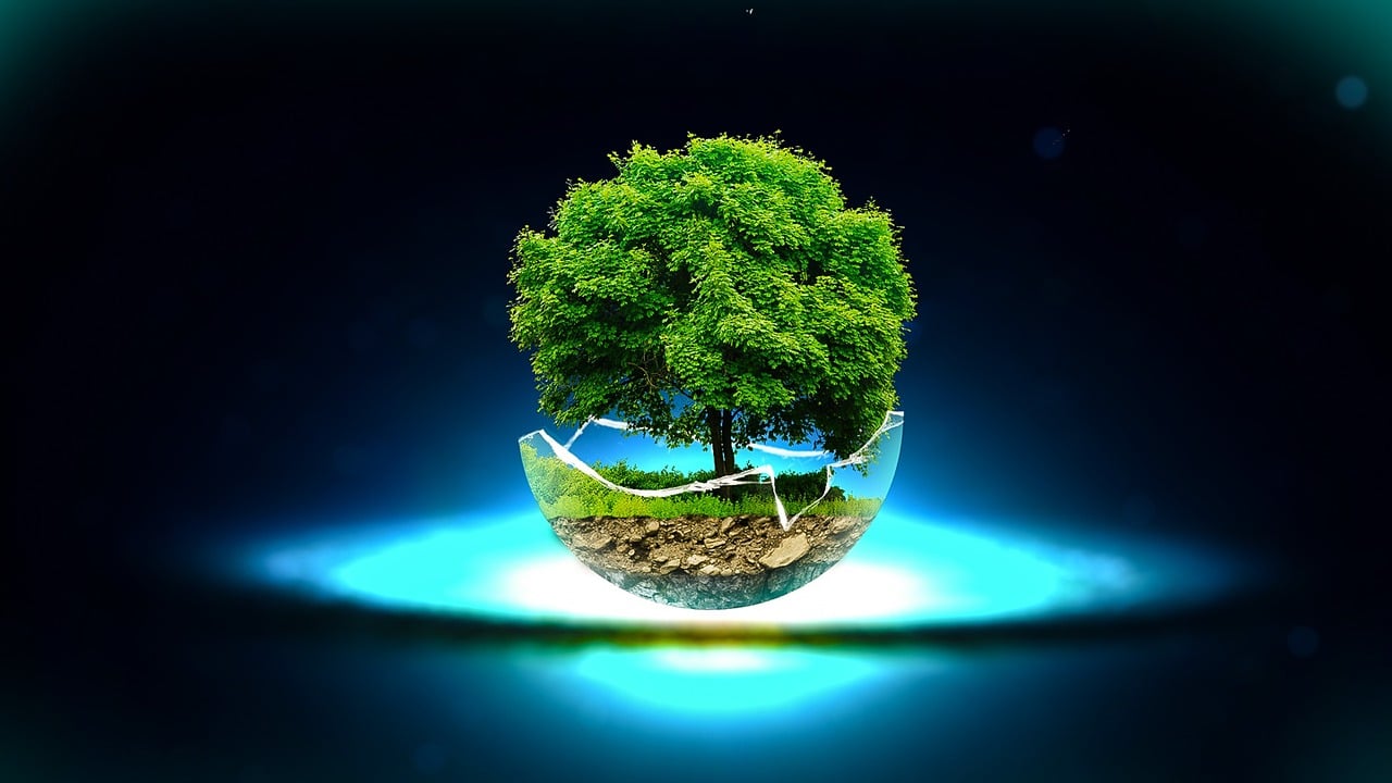 深圳启明星，璀璨之星照亮未来之路
