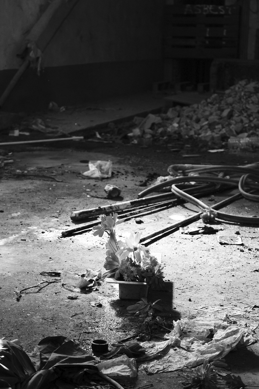 最新警改动态,重塑警务体系,提升社会安全治理效能