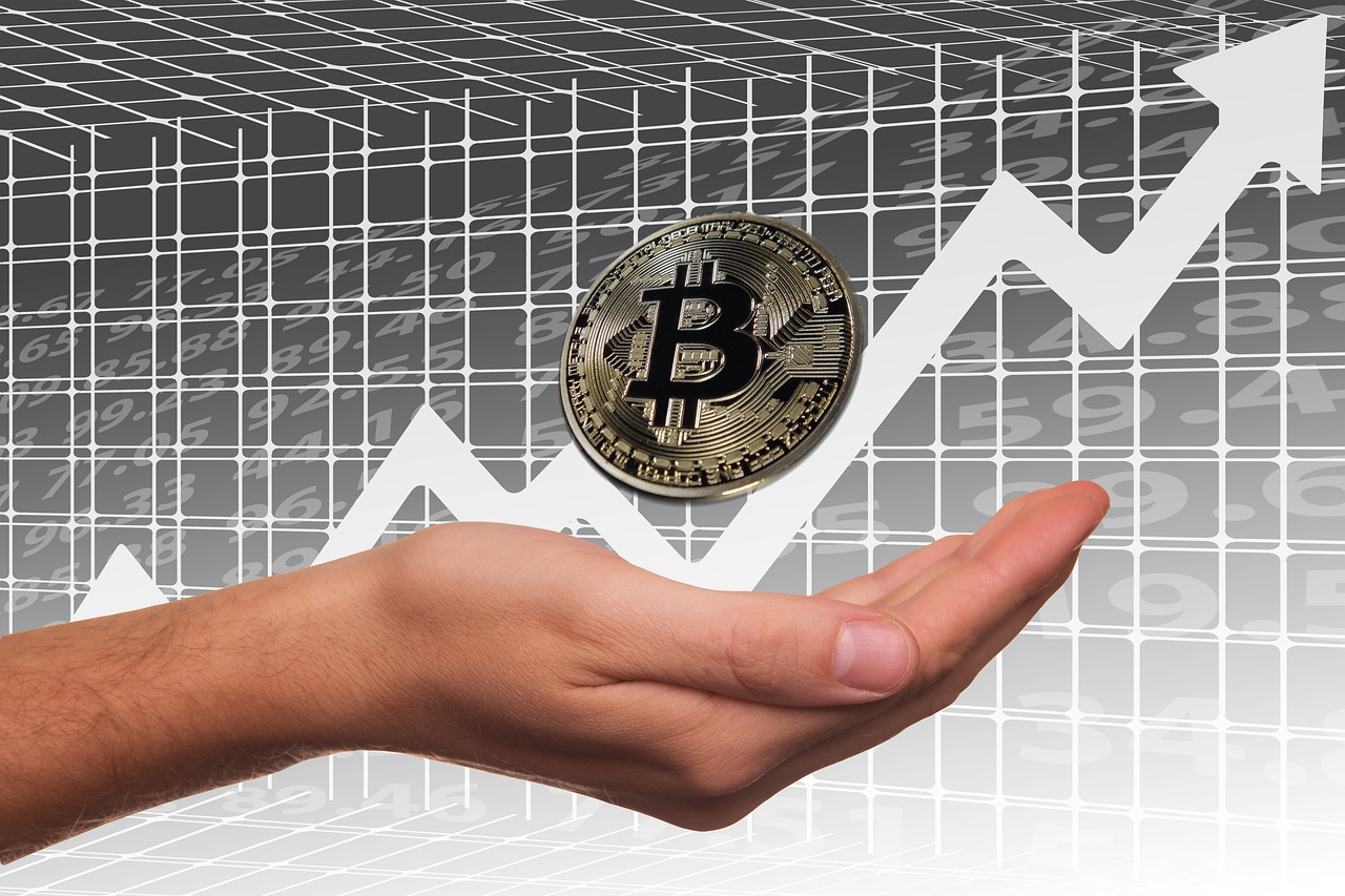 新浪行情接口，探索金融数据的新领域