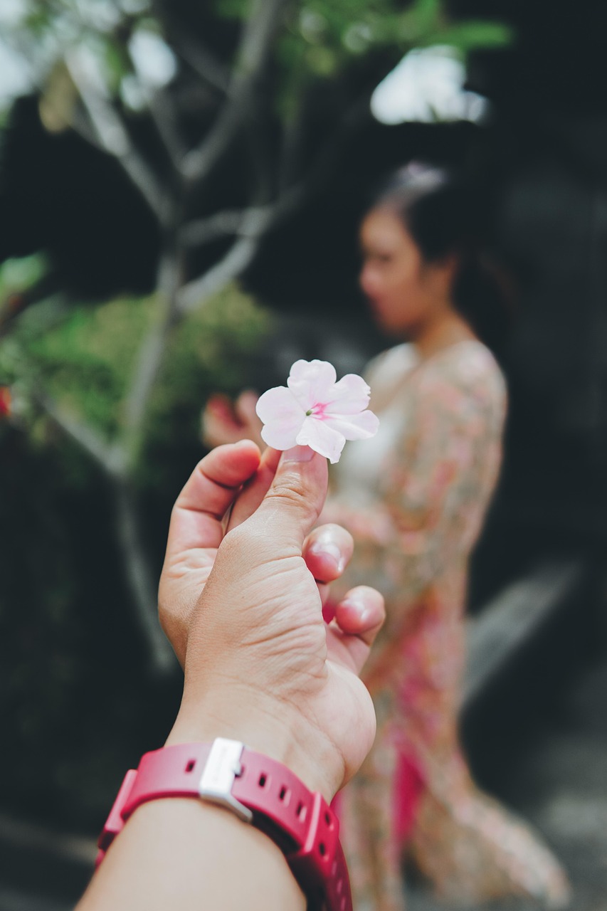 校园美女风采，青春之花绽放每个角落