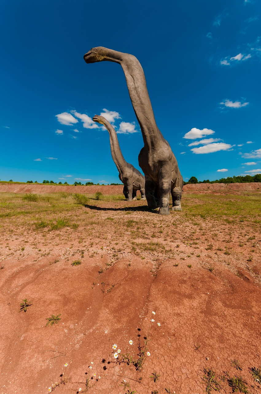 南方引领时代潮流,展现发展活力最新动态