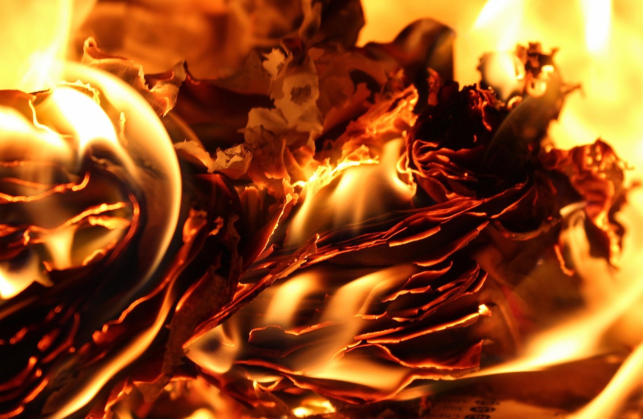 回顾与前瞻,电影排行最新上映 2015 年度热门电影大盘点