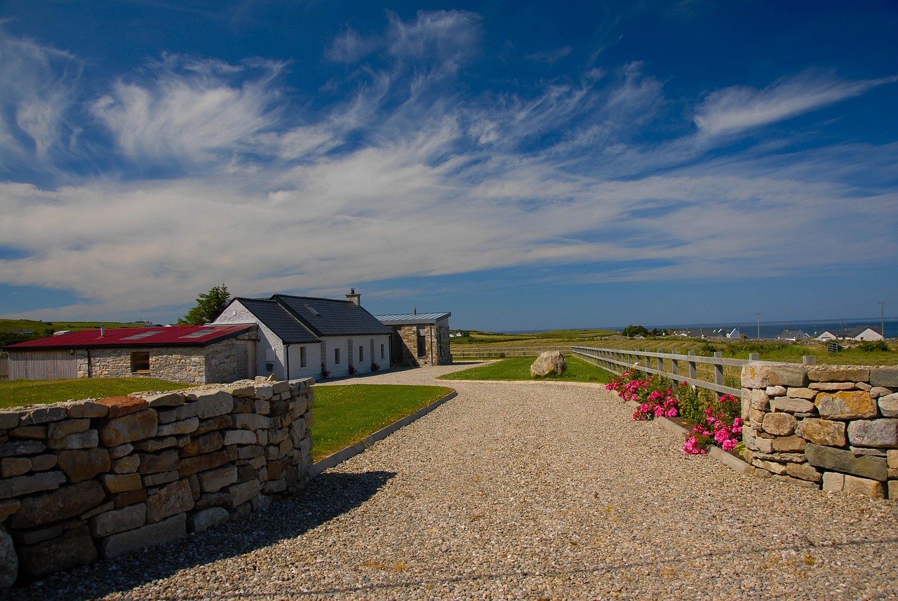 罗永浩最新动态,创新之路与未来展望探索