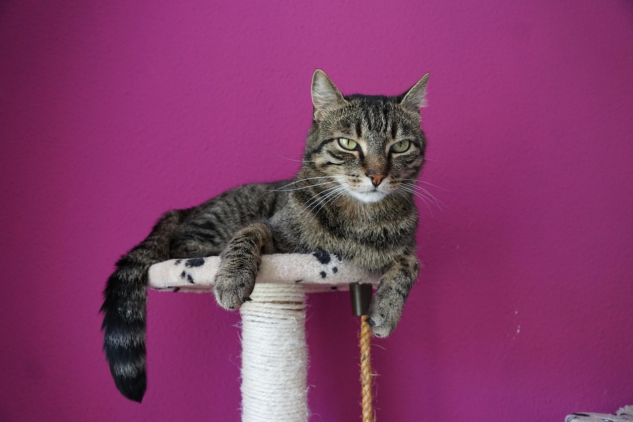 梁永和艺术品的拍卖价格与市场趋势分析,价值体现与市场动态观察