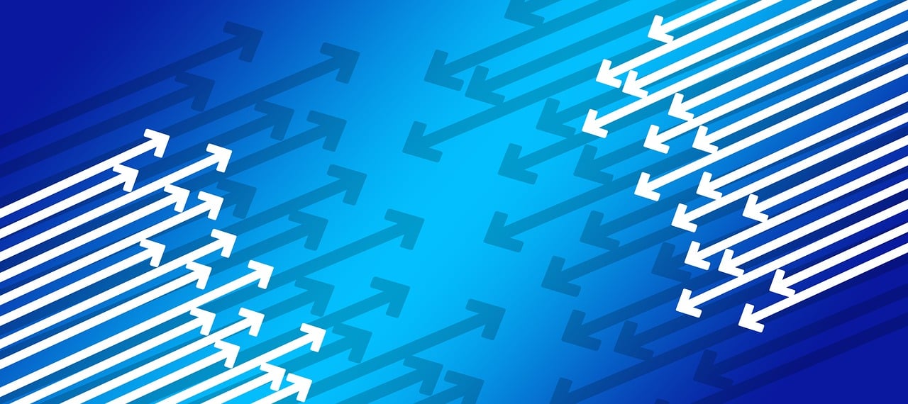 今年猪肉行情深度分析,市场走势与影响因素探讨