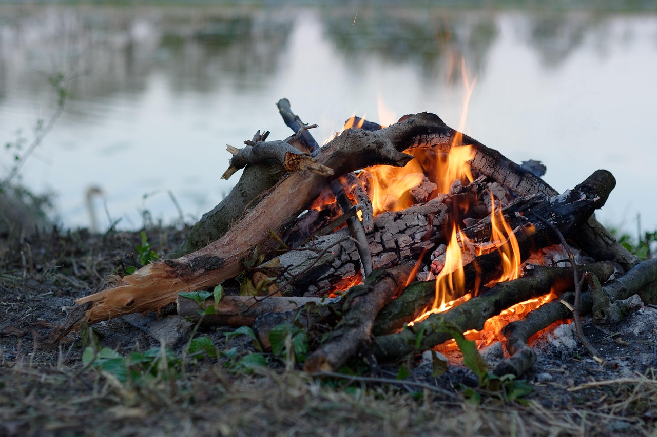 最新热门游戏大盘点