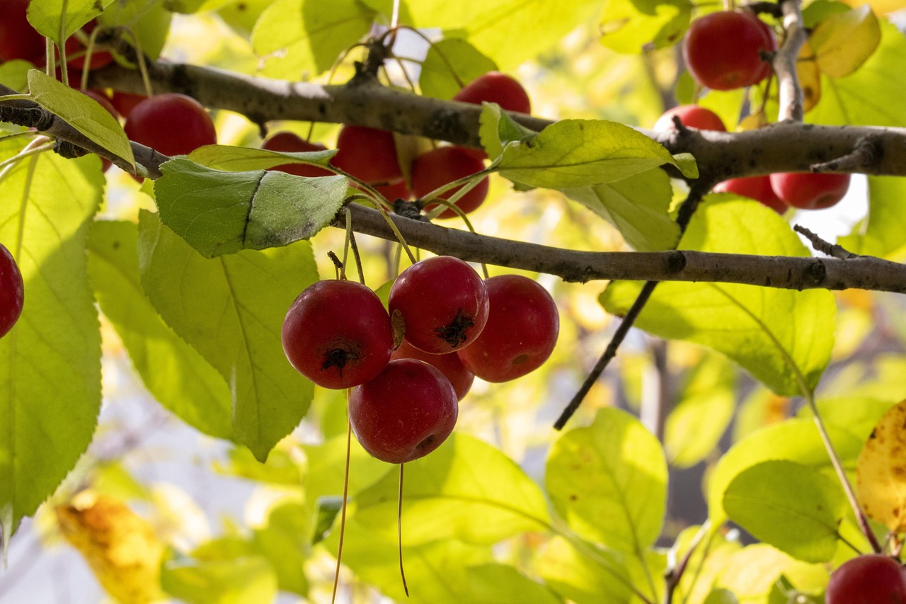 女排巨星徐云丽最新动态揭秘