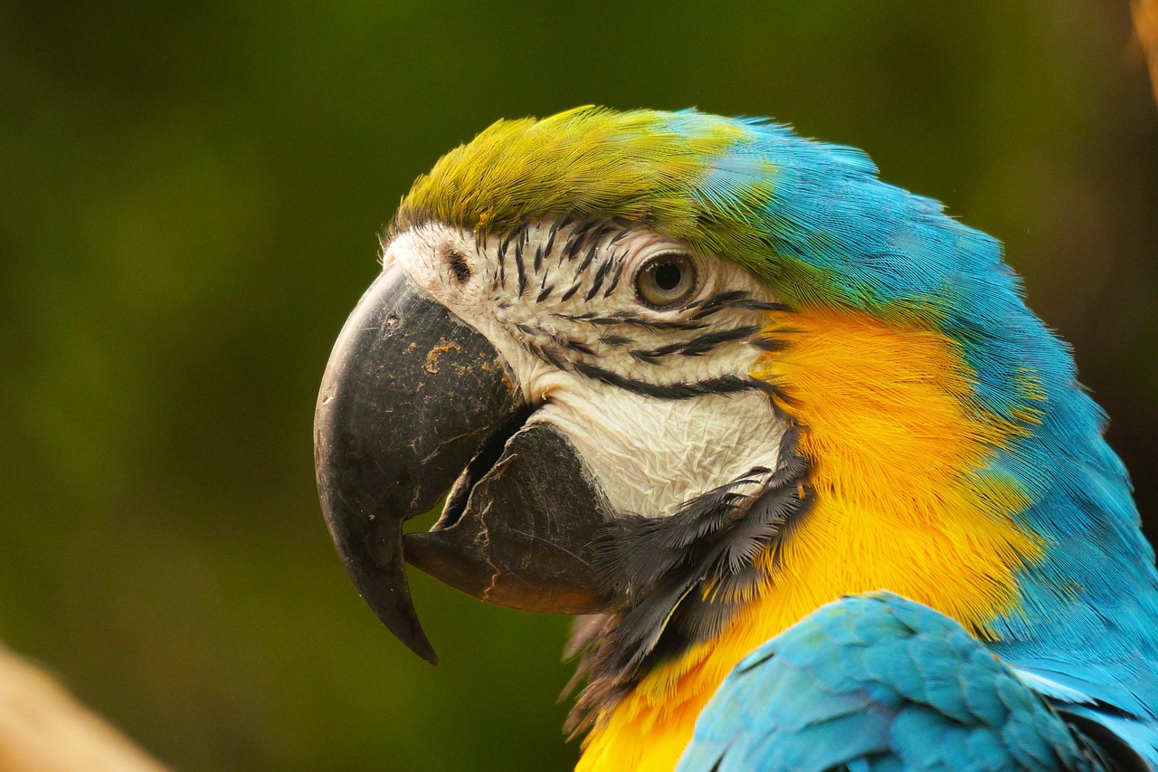液晶电视与激光电视对比，技术、性能与体验的综合比较，哪个更好？