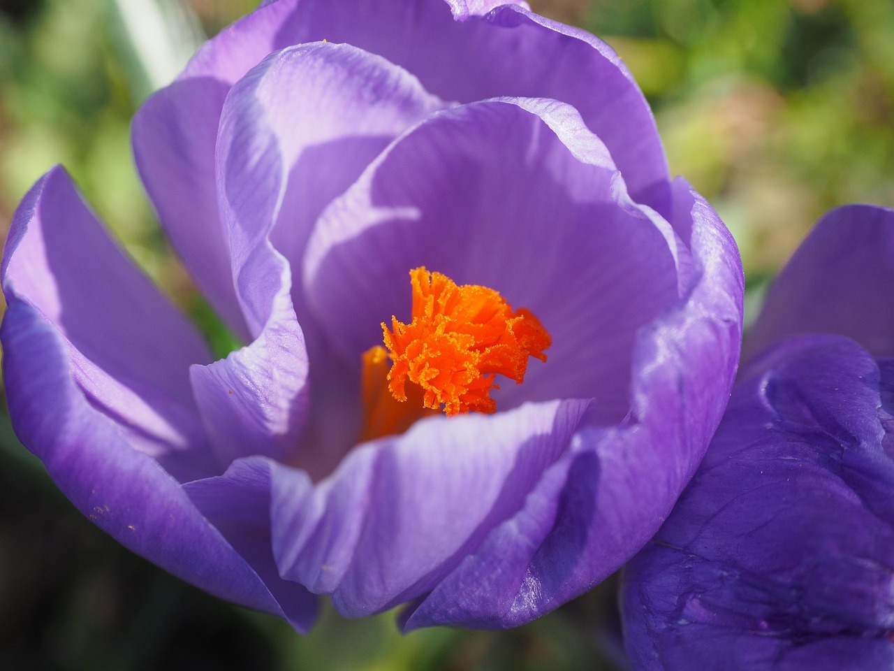 洛阳自贸区最新发展动态概览