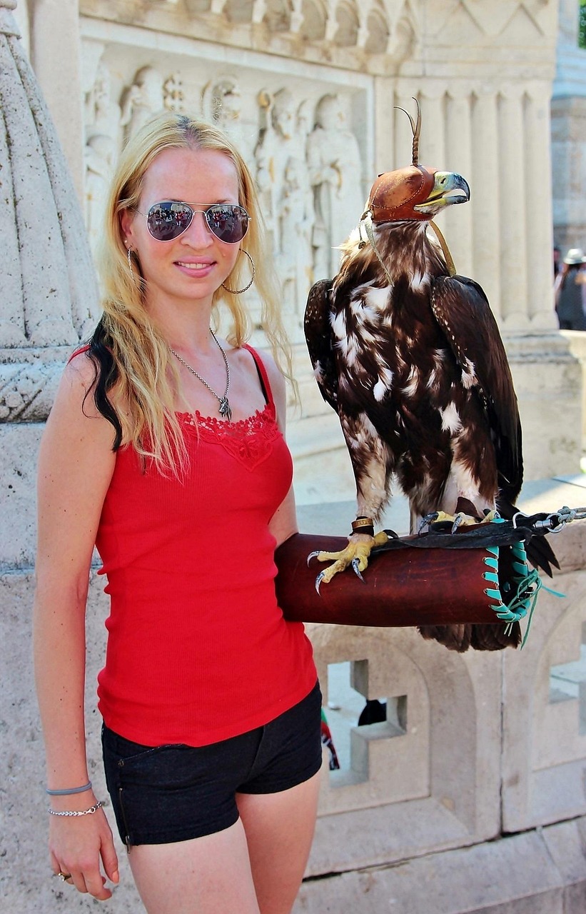 非洲最新疫情动态,挑战、应对策略及前景展望