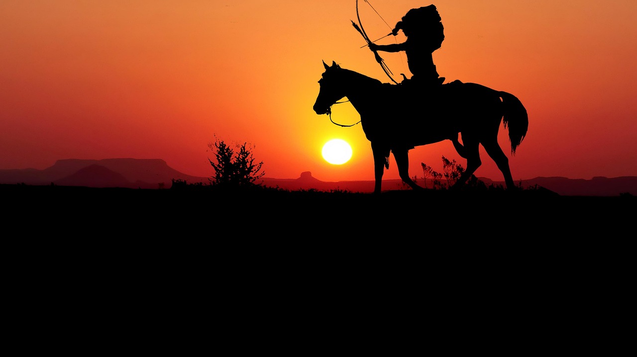 埃伦娜电影，光影中的情感与故事之旅