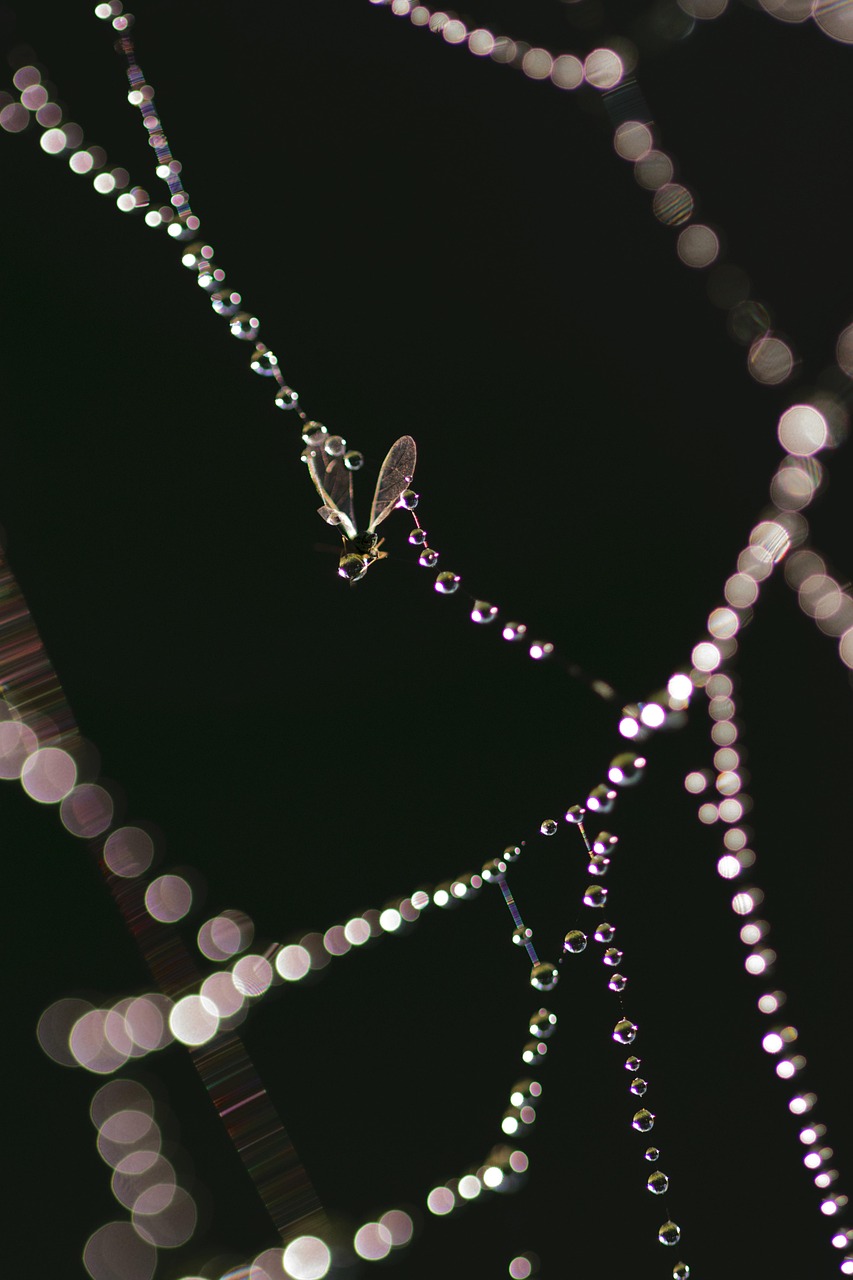 黄水晶价格解析，市场走势、影响因素与购买建议