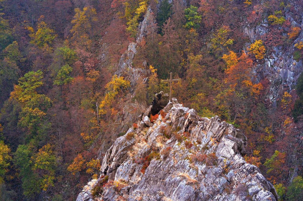贝尔最新动态，巨星风采依旧，引领足球新时代风潮