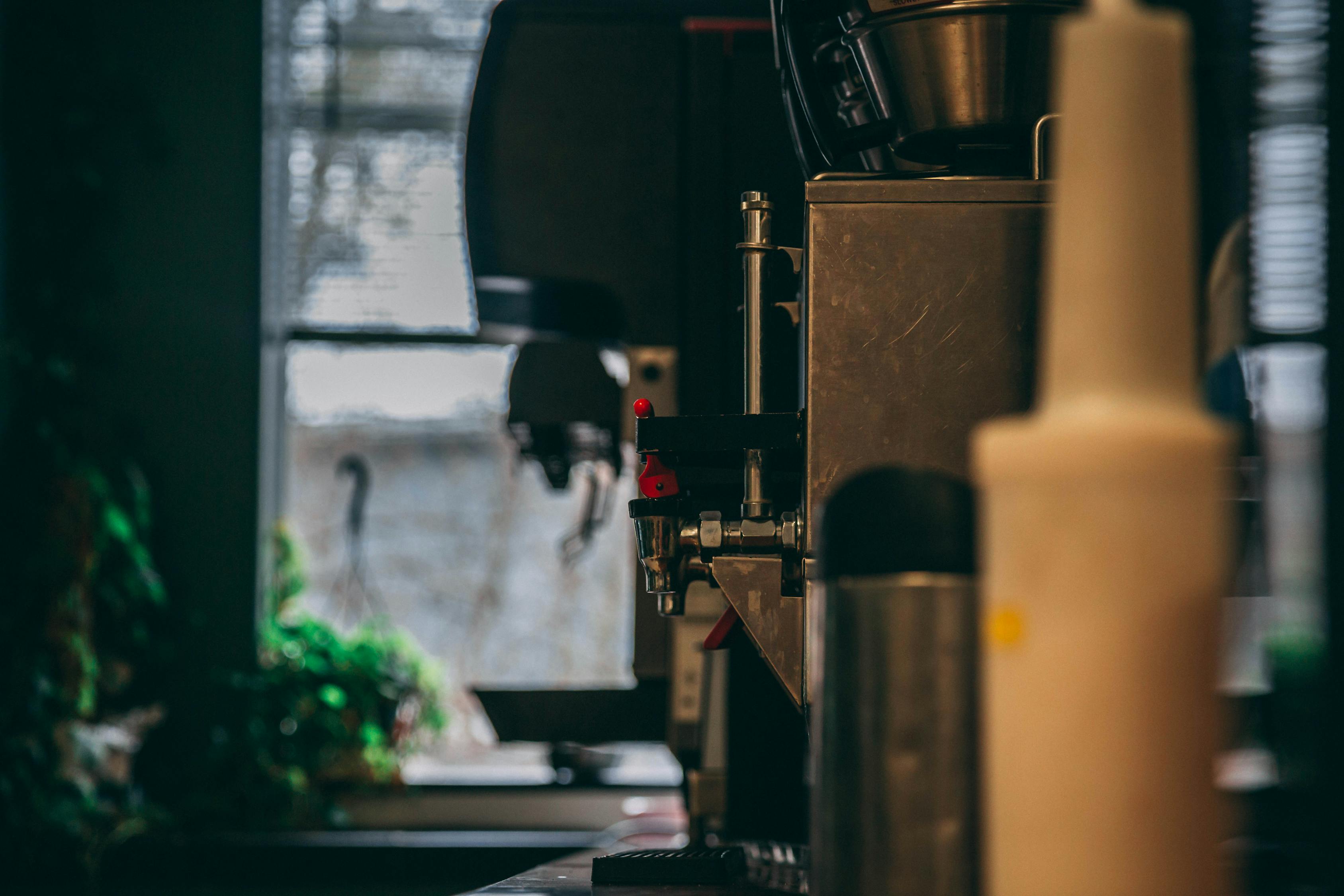 都市狂少最新章节,热血青春的激荡与都市激荡之旅