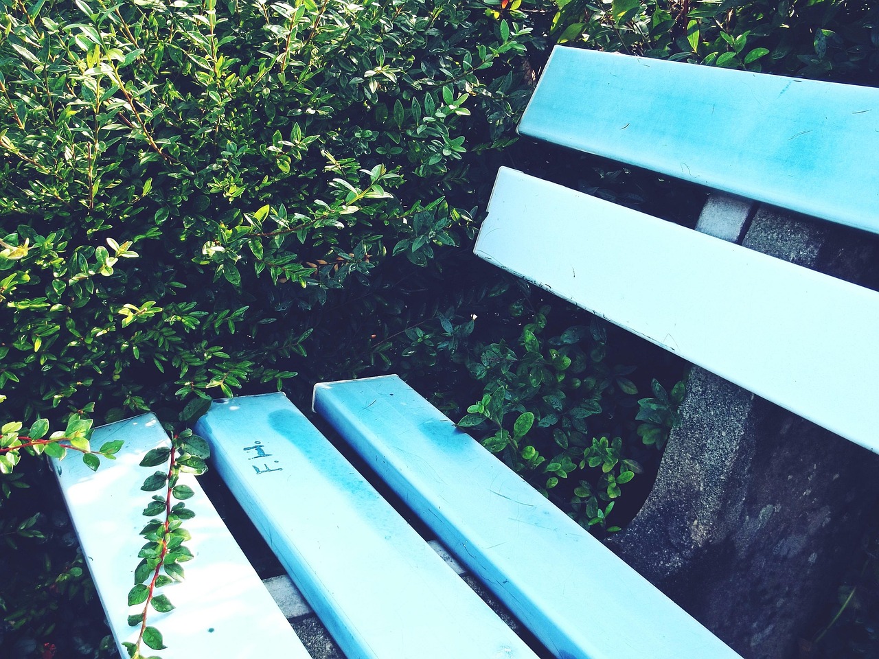 鞍钢居家服务暂停,最新动态与影响分析