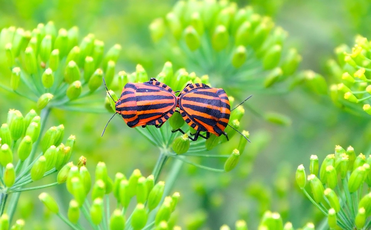 湛江地区肺炎最新动态更新