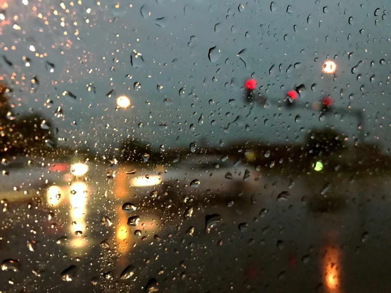 沙小僧最新动态,探索未知,勇往直前