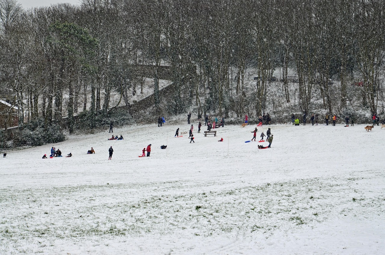 新乡疫情动态,坚定信心,共抗疫情
